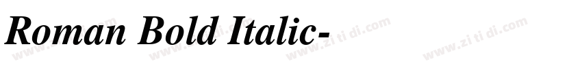 Roman Bold Italic字体转换